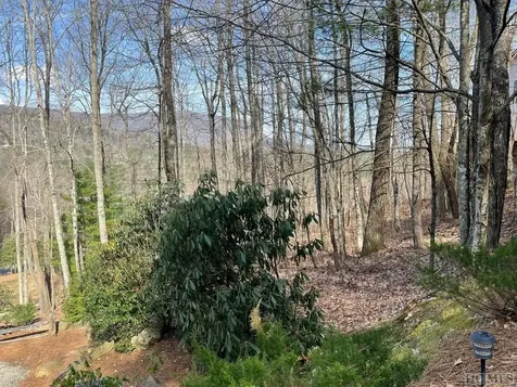 Lot 125 Deer Run Road Sapphire NC 28774