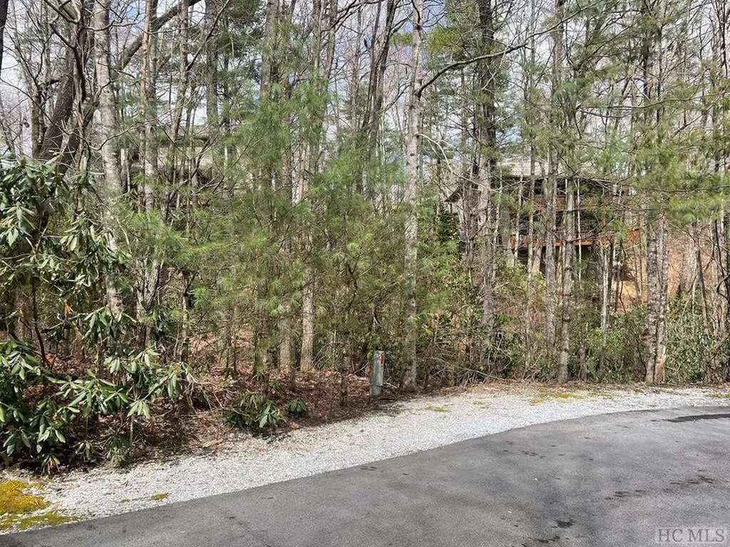 Lot 51 Toxaway Lane Sapphire NC 28774