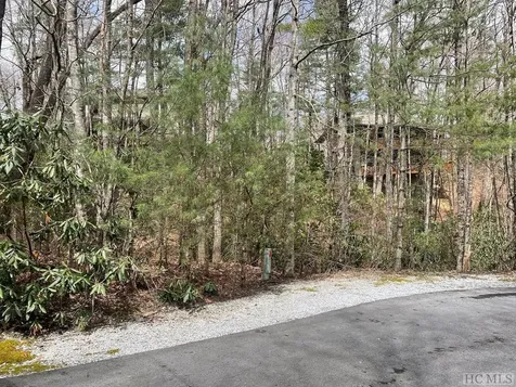 Lot 51 Toxaway Lane Sapphire NC 28774