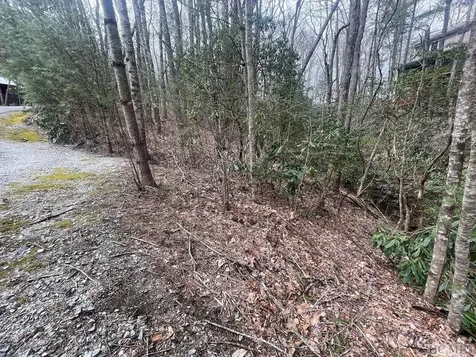 Lot 51 Toxaway Lane Sapphire NC 28774