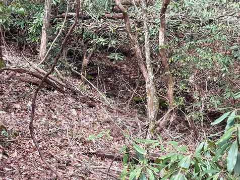 Lot 51 Toxaway Lane Sapphire NC 28774