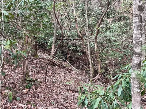 Lot 51 Toxaway Lane Sapphire NC 28774