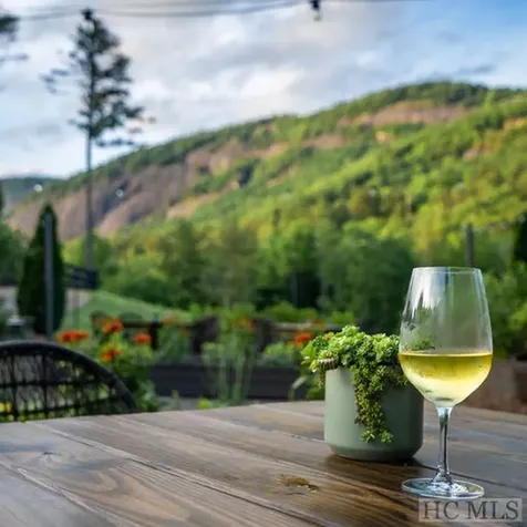 Lot 171 Lonesome Valley Road Cashiers NC 28774