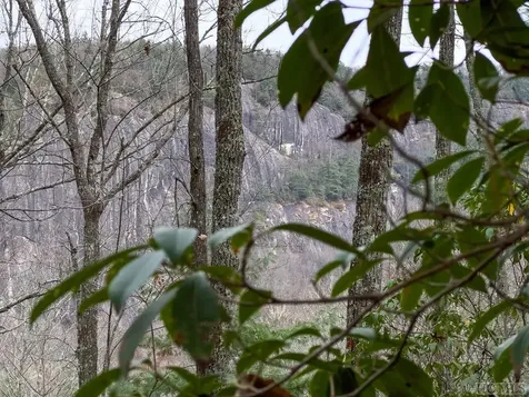 Lot 171 Lonesome Valley Road Cashiers NC 28774
