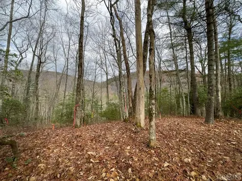Lot 171 Lonesome Valley Road Cashiers NC 28774