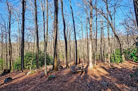 Lot 171 Lonesome Valley Road Cashiers NC 28774