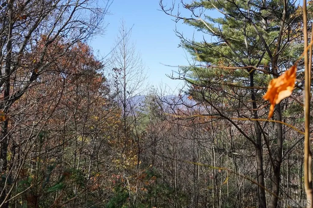 None Silly Ridge Road Scaly Mountain NC 28775