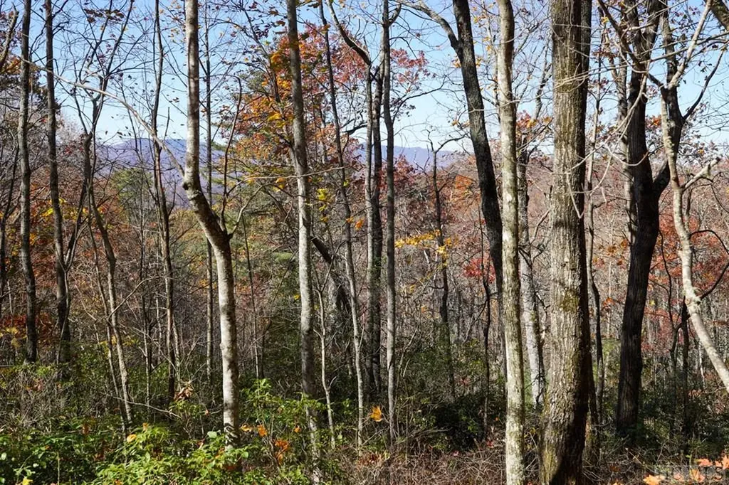 None Silly Ridge Road Scaly Mountain NC 28775