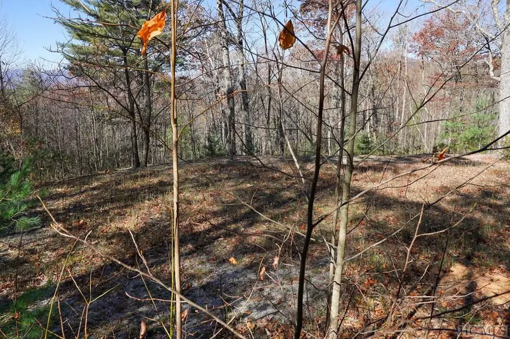 None Silly Ridge Road Scaly Mountain NC 28775