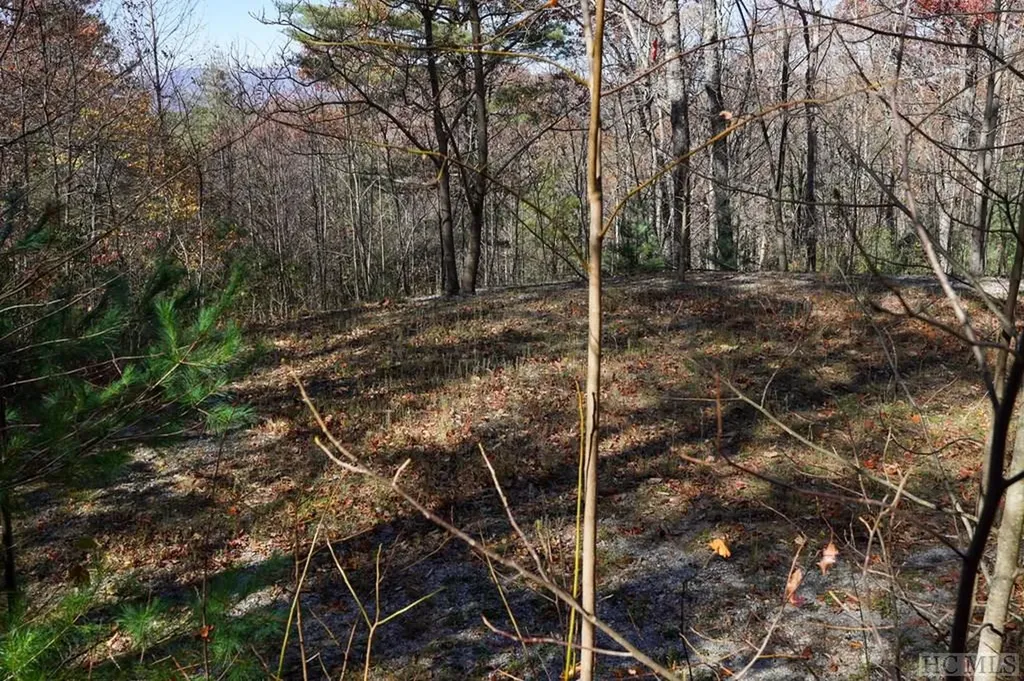 None Silly Ridge Road Scaly Mountain NC 28775