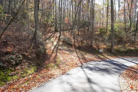 None Silly Ridge Road Scaly Mountain NC 28775