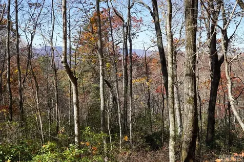 None Silly Ridge Road Scaly Mountain NC 28775