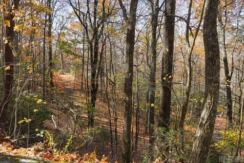 None Silly Ridge Road Scaly Mountain NC 28775