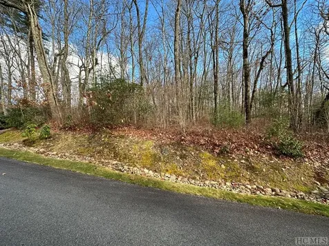 Lot E184 North High Mountain Drive Cashiers NC 28717