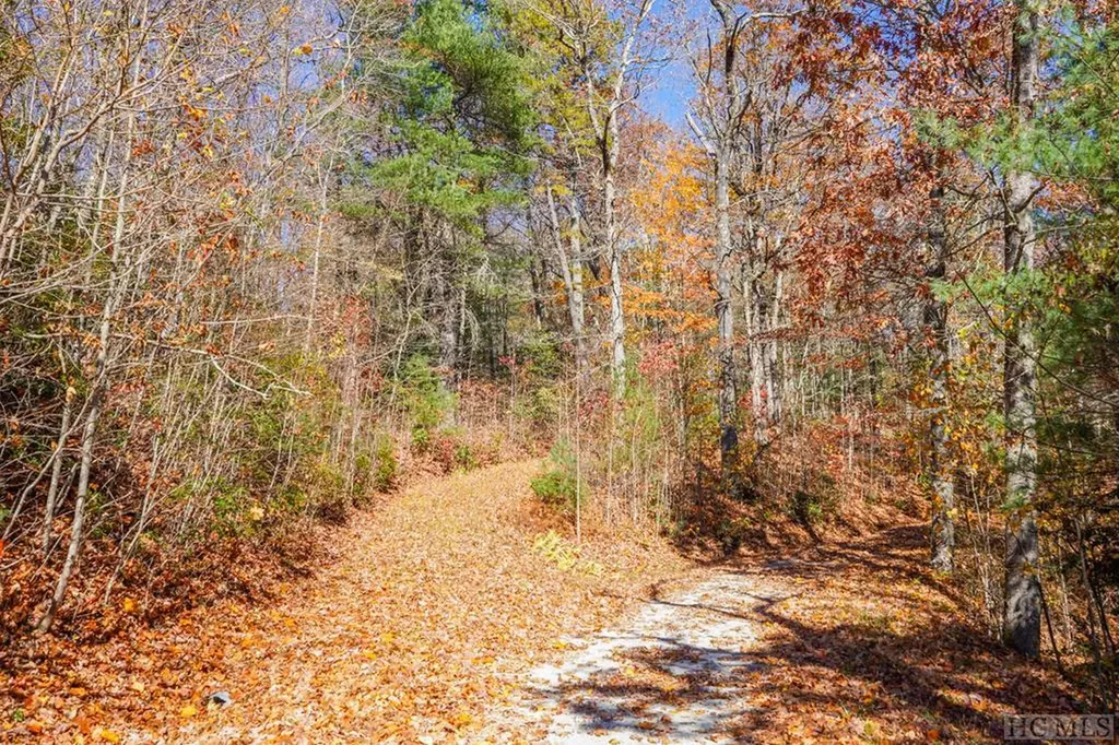 00 Silly Ridge Road Scaly Mountain NC 28775