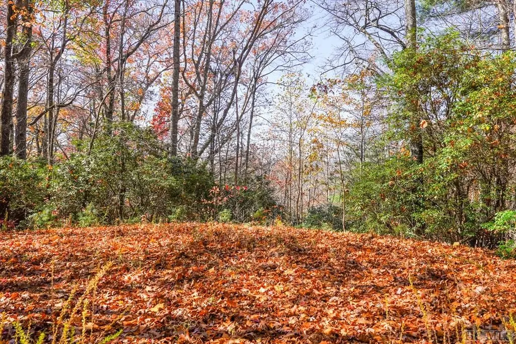 00 Silly Ridge Road Scaly Mountain NC 28775