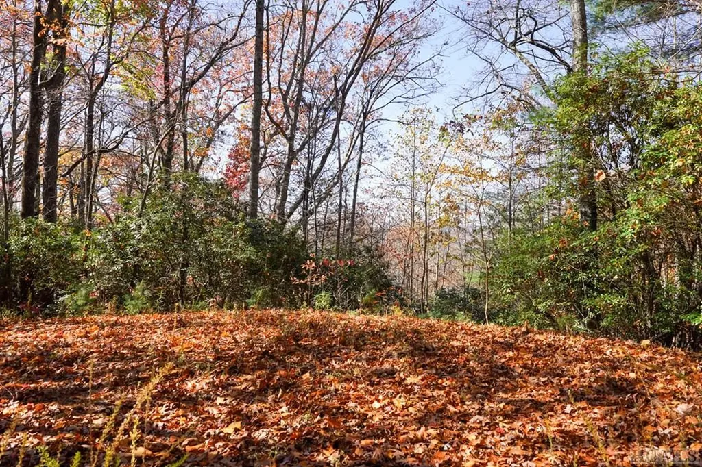 00 Silly Ridge Road Scaly Mountain NC 28775