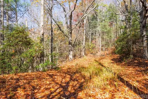 00 Silly Ridge Road Scaly Mountain NC 28775