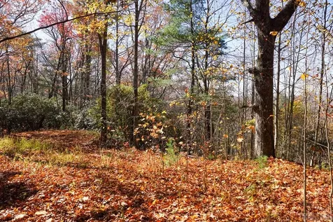 00 Silly Ridge Road Scaly Mountain NC 28775