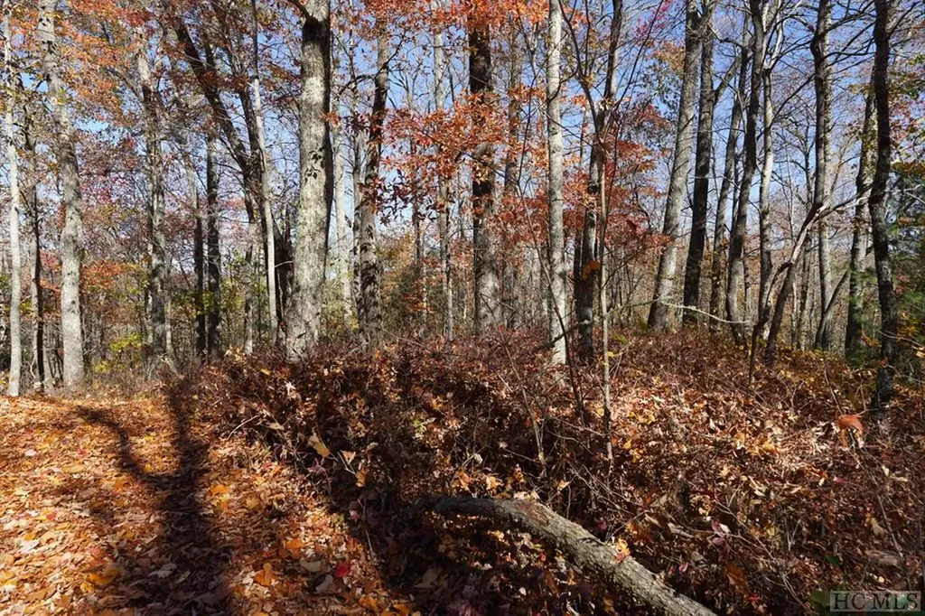 Na High Point View Road Scaly Mountain NC 28775