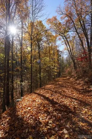 Na High Point View Road Scaly Mountain NC 28775