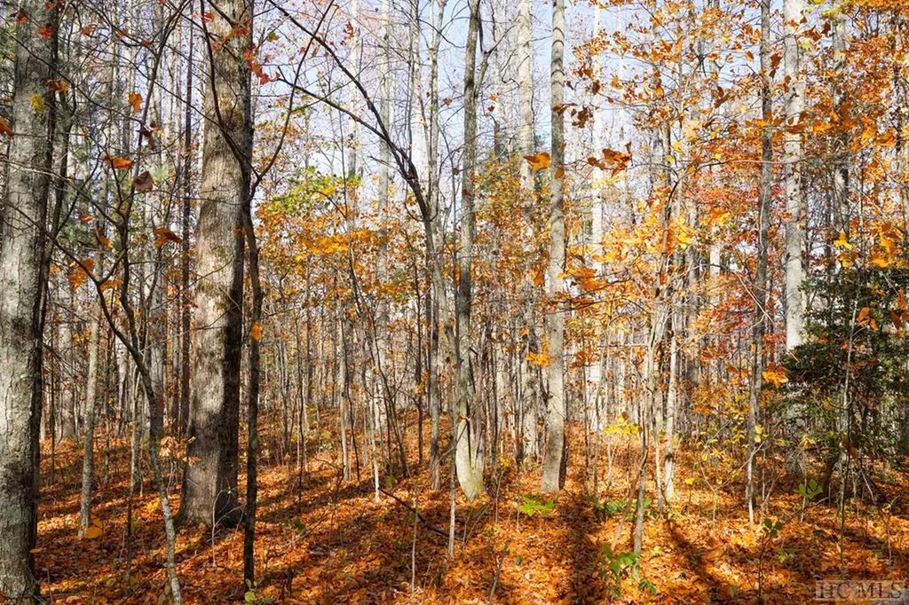 Na Silly Ridge Road Scaly Mountain NC 28775