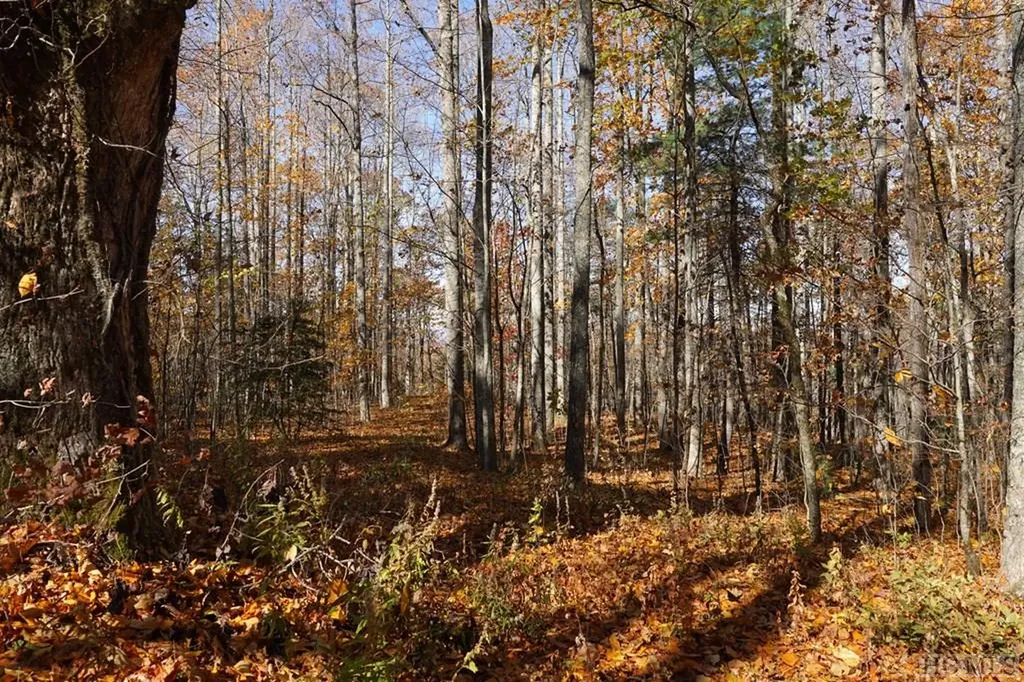 Na Silly Ridge Road Scaly Mountain NC 28775