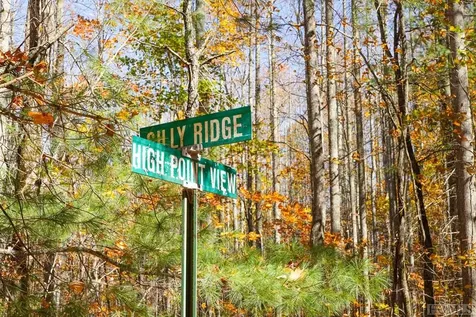 Na Silly Ridge Road Scaly Mountain NC 28775