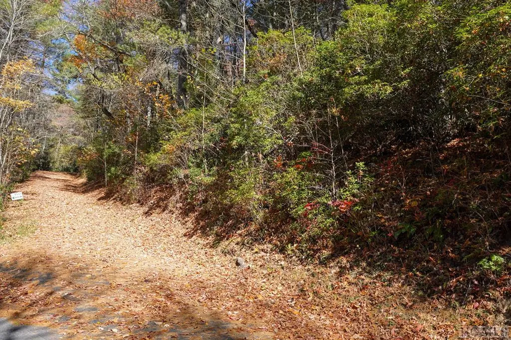 0 Lick Log Road Scaly Mountain NC 28775