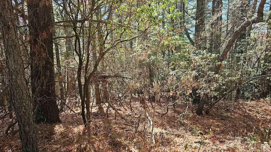 0 Lick Log Scaly Mountain NC 28775