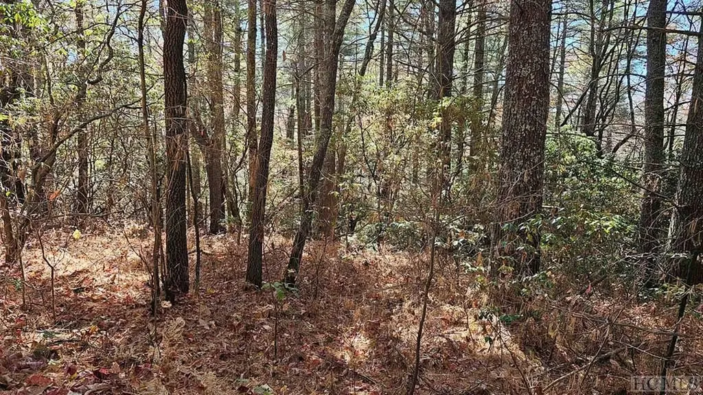 0 Lick Log Scaly Mountain NC 28775