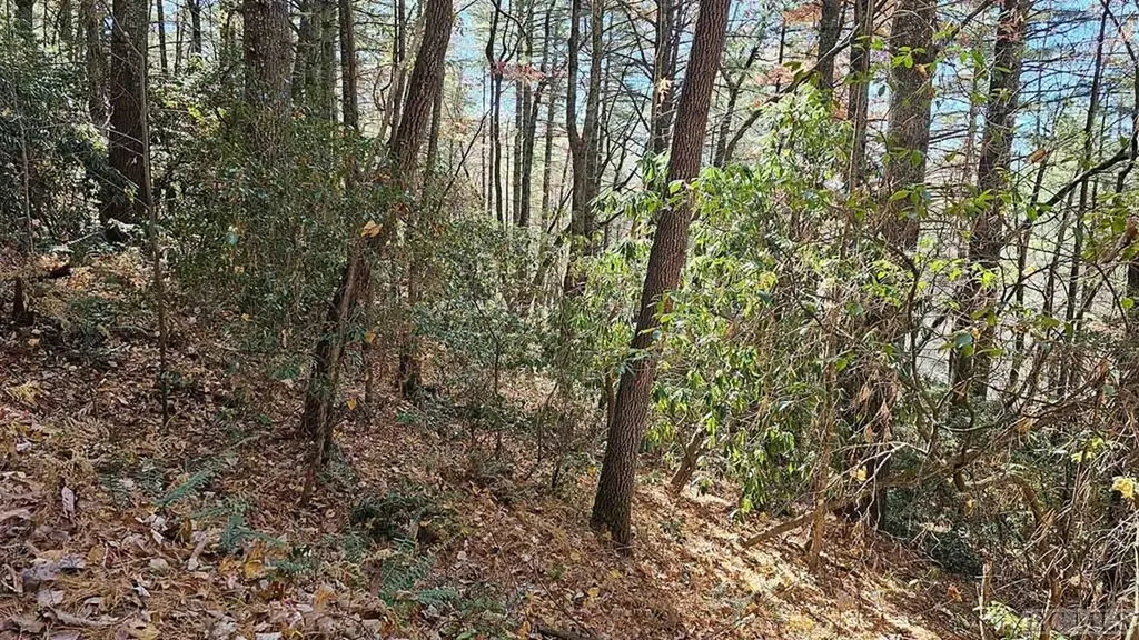 0 Lick Log Scaly Mountain NC 28775