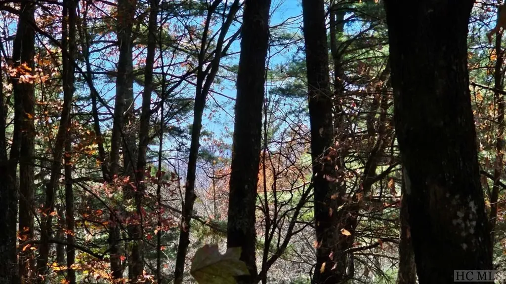 0 Lick Log Scaly Mountain NC 28775