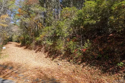 0 Lick Log Scaly Mountain NC 28775