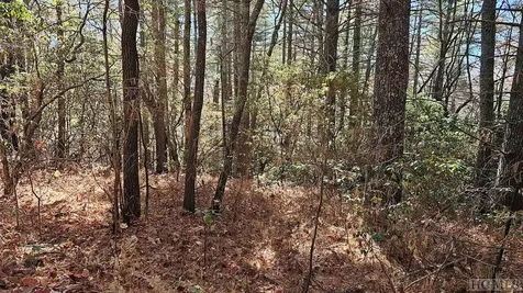 0 Lick Log Scaly Mountain NC 28775