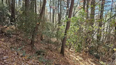 0 Lick Log Scaly Mountain NC 28775