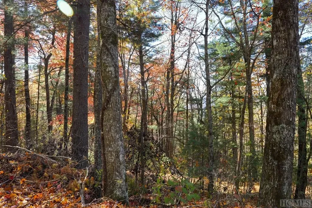 Unknown Silly Ridge Road Scaly Mountain NC 28775