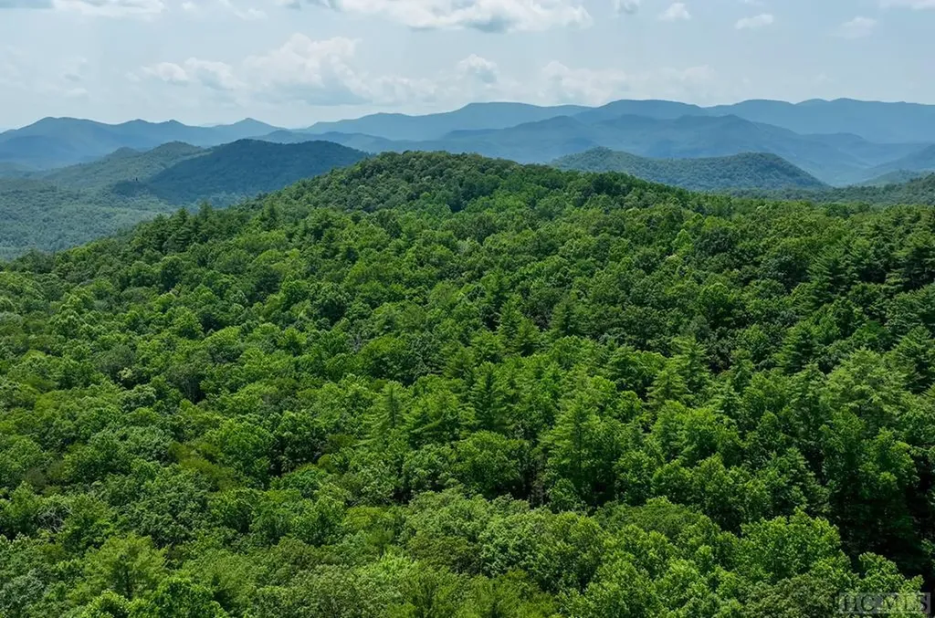 Unknown Silly Ridge Road Scaly Mountain NC 28775