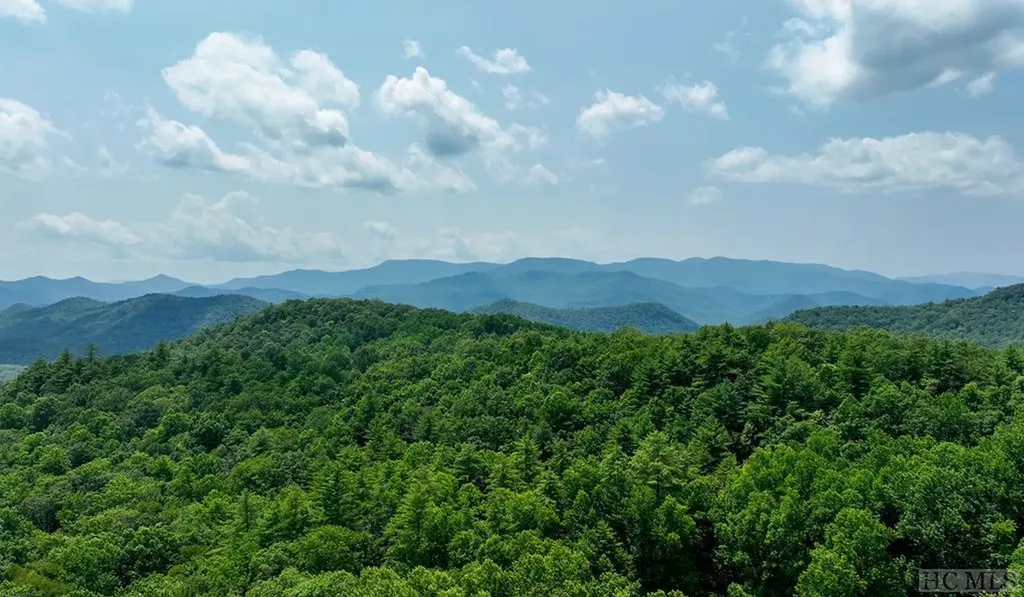 Unknown Silly Ridge Road Scaly Mountain NC 28775