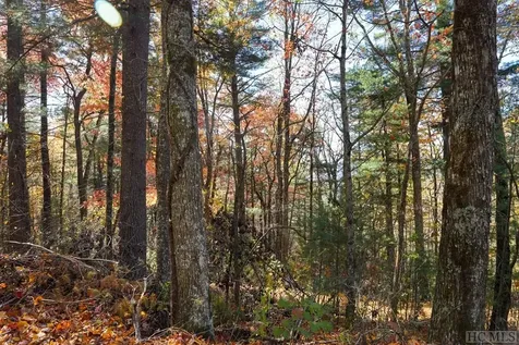 Unknown Silly Ridge Road Scaly Mountain NC 28775