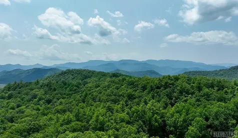 Unknown Silly Ridge Road Scaly Mountain NC 28775