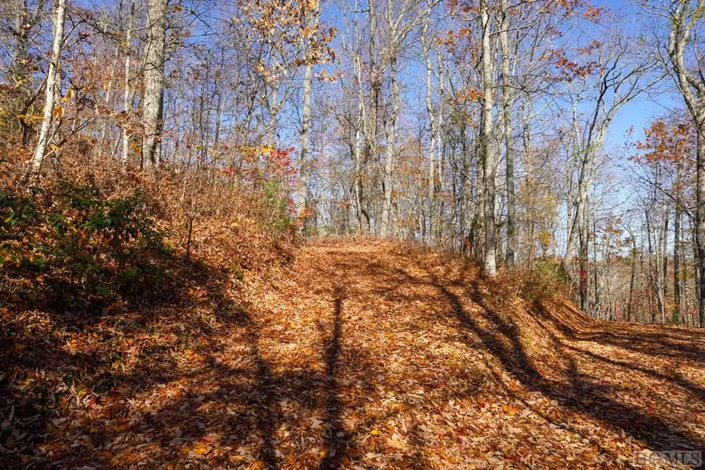 Na High Point View Road Scaly Mountain NC 28775