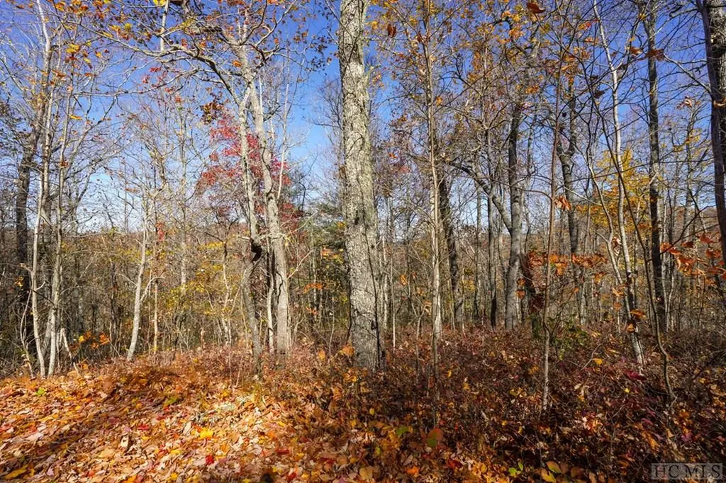 Na High Point View Road Scaly Mountain NC 28775