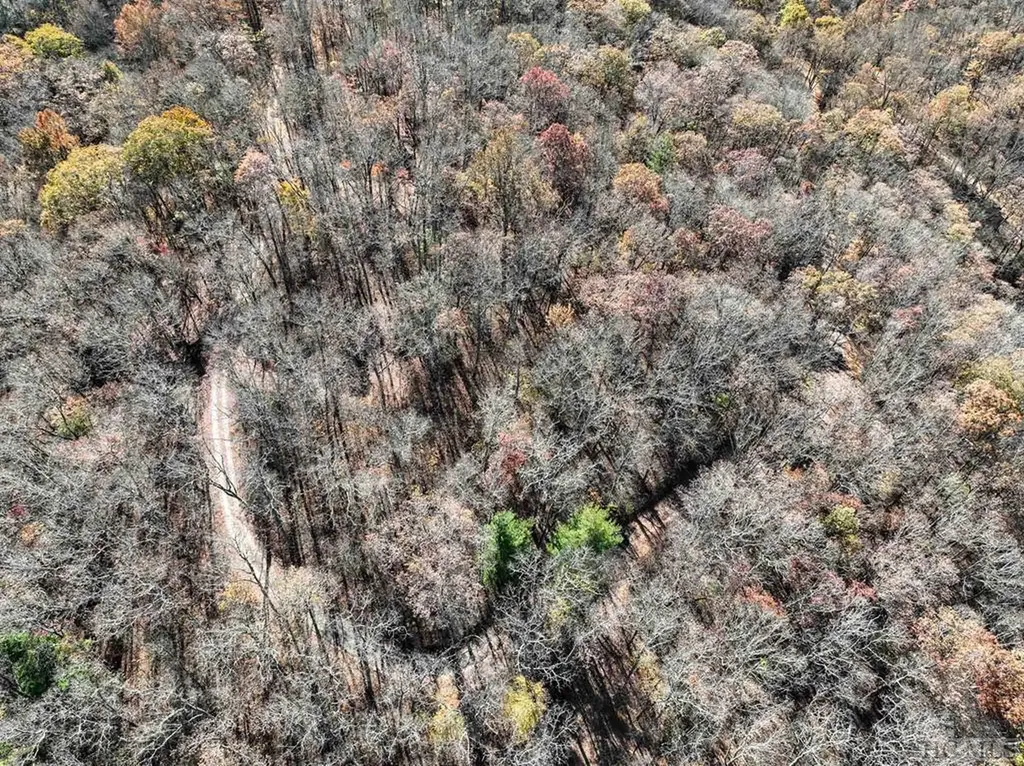 Na High Point View Road Scaly Mountain NC 28775