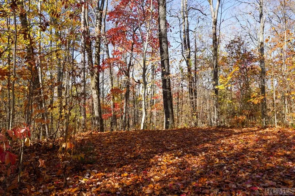 Na High Point View Road Scaly Mountain NC 28775