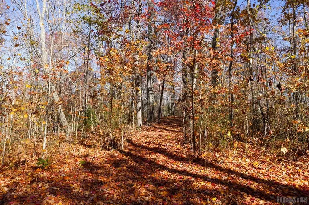 Na High Point View Road Scaly Mountain NC 28775