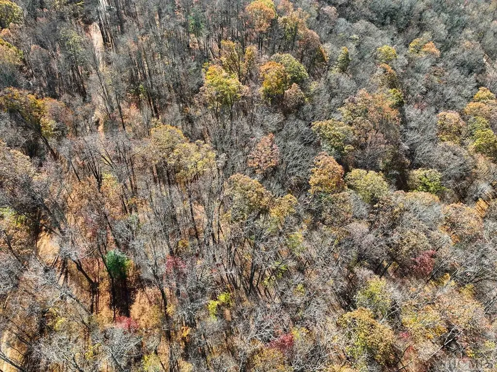 Na High Point View Road Scaly Mountain NC 28775