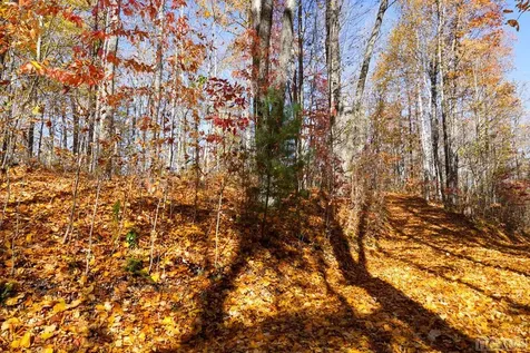 Na High Point View Road Scaly Mountain NC 28775