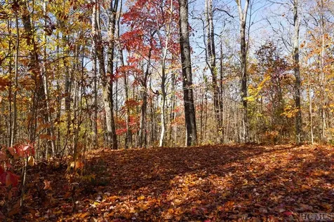 Na High Point View Road Scaly Mountain NC 28775