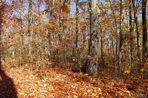 Na High Point View Road Scaly Mountain NC 28775